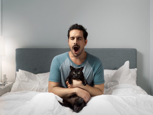 Seattle Humane alarm clock cat You don't need an alarm clock when you own a cat.