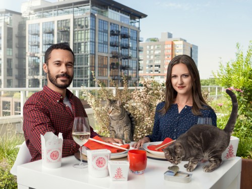 Seattle Humane DINK's and fancy cats Dual Income No Kids living the good life with cats.